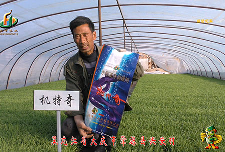 肇(zhao)源-用(yong)戶迴訪視頻