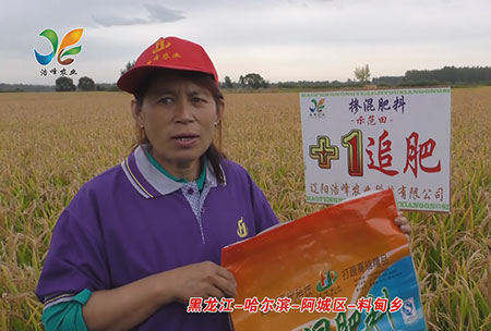 黑龍江-哈爾濱-阿城區-料(liao)甸鄕-用戶迴訪視頻