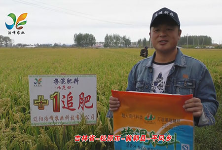 吉林省-鬆原市-前(qian)郭縣(xian)-平鳳(feng)鄕-用戶迴訪視頻