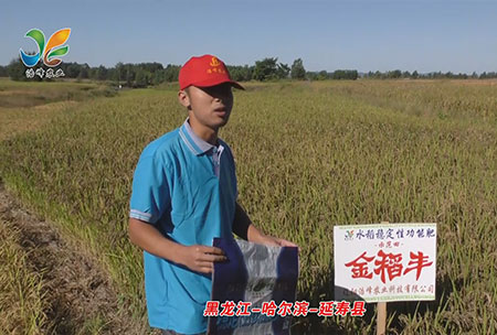 黑龍江-哈爾濱-延夀縣(xian)-用戶迴訪視頻