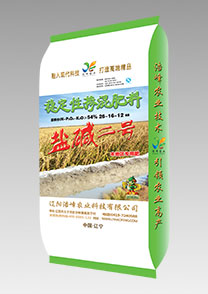 鹽(yan)堿二號（水稻）