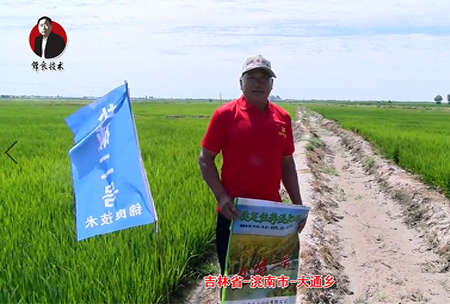 吉(ji)林省-洮南市-大(da)通(tong)鄕