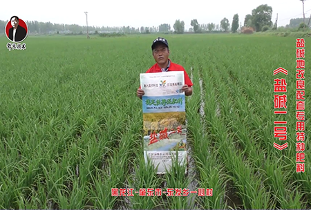 肇東市-東(dong)髮鄕一心(xin)邨