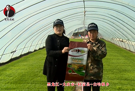 大慶(qing)市-杜矇縣-白哈(ha)根鄕