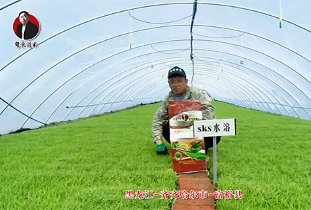 齊齊哈爾市-富裕(yu)縣