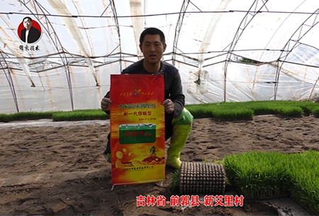 吉林省-前郭縣-新艾裏邨