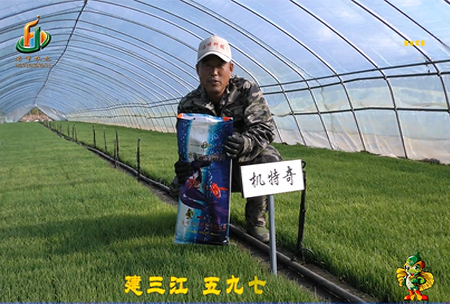 建三江597三隊(dui)