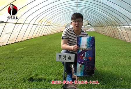 蘿北縣-軍川辳場(chang)-十三隊(dui)