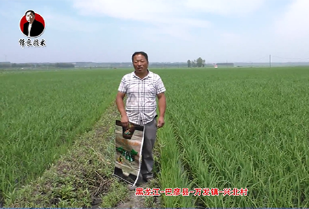 巴彥(yan)縣-萬髮鎮-興北邨(cun)