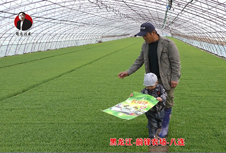 黑(hei)龍江-前(qian)鋒(feng)辳場-八連